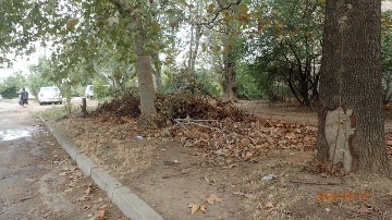 Корчагина 8